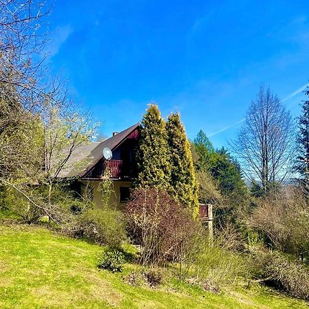 Dom na Jeżynowym Wzgórzu - Blackberry Hill Cottage Radziechowy Exterior foto