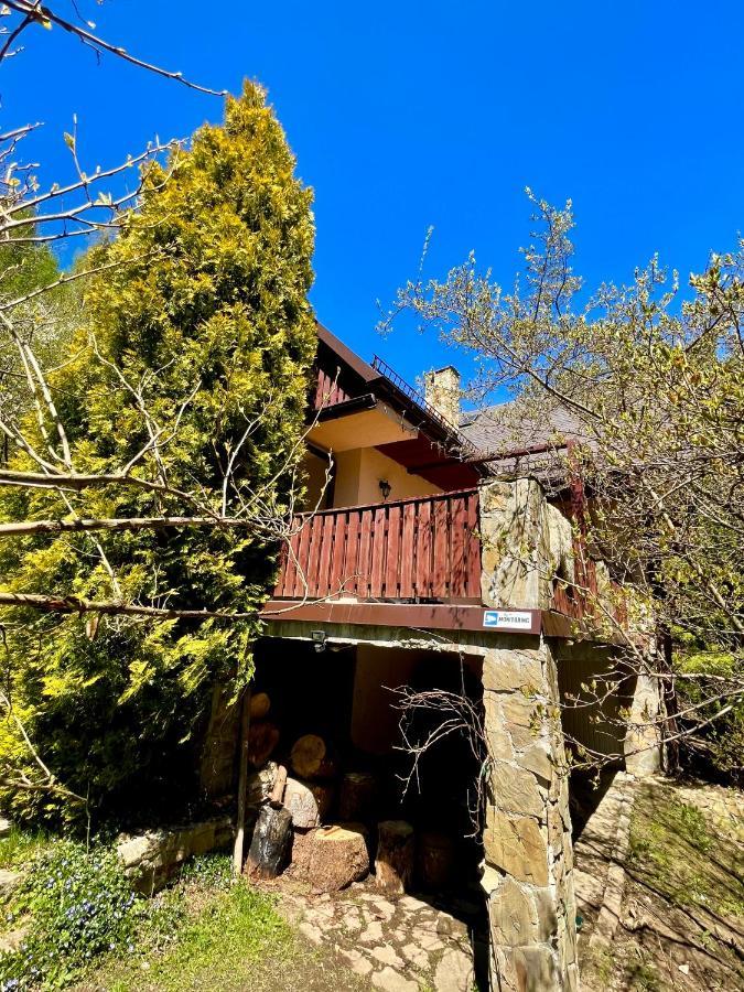 Dom na Jeżynowym Wzgórzu - Blackberry Hill Cottage Radziechowy Exterior foto